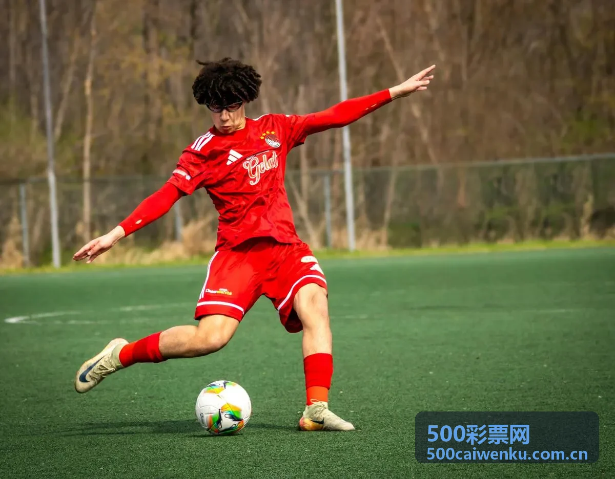 500彩票网新手入门全面指南
